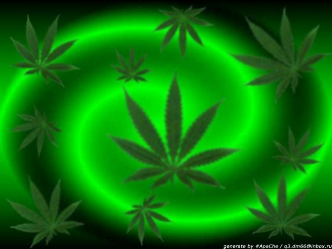 Дмитрий Фёдоров фотография #5