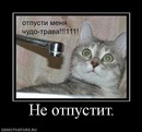 Толян Купрієнко фотография #27 (источник - https://vk.com/id136470026)
