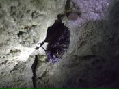 Сергей Боровых фотография #31 (источник - https://vk.com/id2116787)