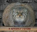 Іван Куцик фотография #50 (источник - https://vk.com/id55665267)