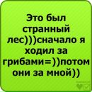 Денис Романенко фотография #12 (источник - https://vk.com/id68403536)