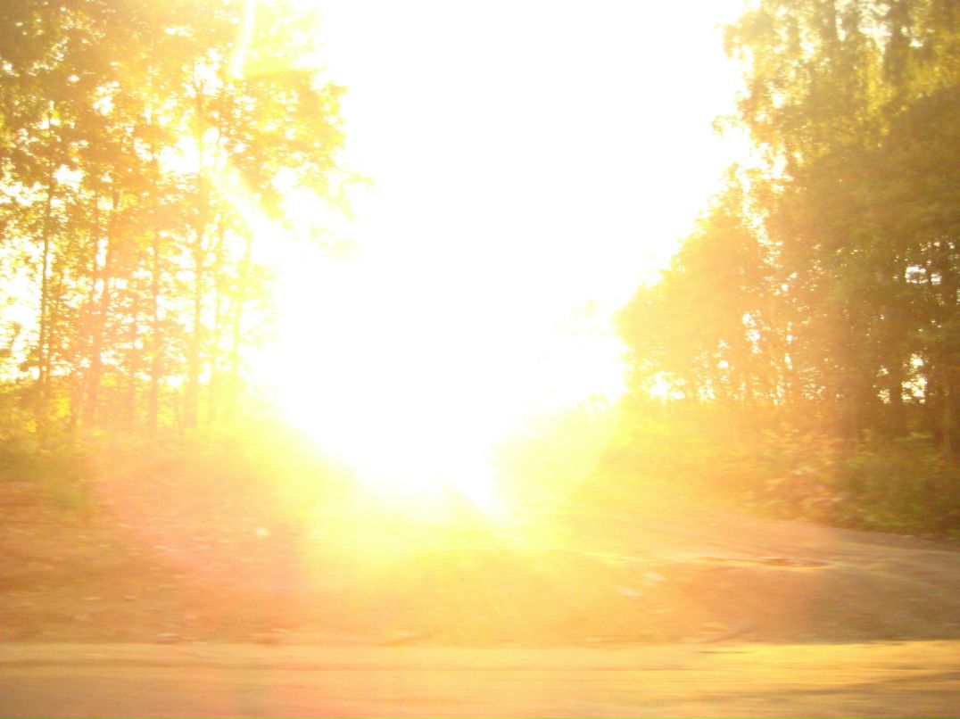 Дмитрий Линьков фотография #49