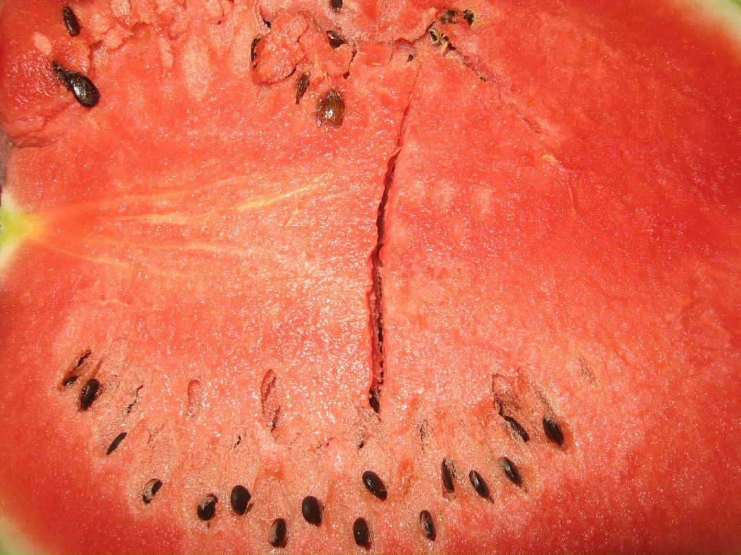 Dmitry Deff фотография #4