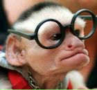 Фотография Куликановой Алёны