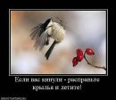 Марічка Михайленко фотография #48 (источник - https://vk.com/id29576015)