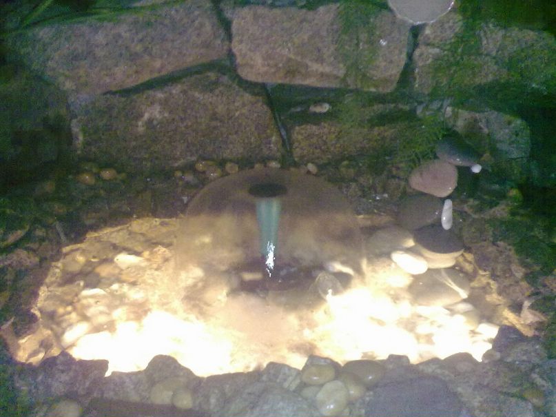 Денис Фёдоров фотография #48