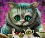 Фотография Додоновой Ксюши