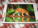 Юлия Κотова фотография #42 (источник - https://vk.com/id72468418)