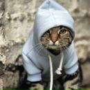 Фотография Сырового Владимира