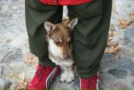 Роман Усеинов фотография #38 (источник - https://vk.com/id543701)