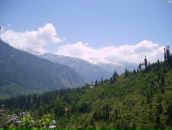 Фотография De-turnevill Tnt