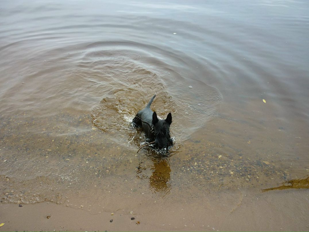 Софья Елисова фотография #50