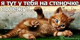 Назар Малюха фотография #16 (источник - https://vk.com/id14848207)