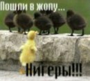 Андрій Назарець фотография #45 (источник - https://vk.com/id65065180)