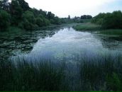 Дмитрий Горчаков фотография #24 (источник - https://vk.com/id2672008)