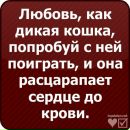 Ігор Лесик фотография #23 (источник - https://vk.com/id132660755)
