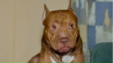 Фотография Филиной Елизаветы