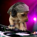 Олег Гаврілюк фотография #3 (источник - https://vk.com/id66300361)