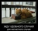Діма Прокопчук фотография #41 (источник - https://vk.com/id127521186)