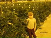 Фотография Фроловой Светланы