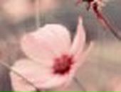 Віктор Скольський фотография #46 (источник - https://vk.com/id42954583)