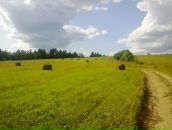 Фотография Матвеева Максима