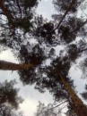 Карішка Максименко фотография #12 (источник - https://vk.com/id87964026)
