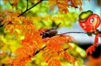 Фотография Ворониной Марины