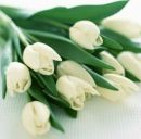 Катрі Ковалевська фотография #10 (источник - https://vk.com/id166934455)