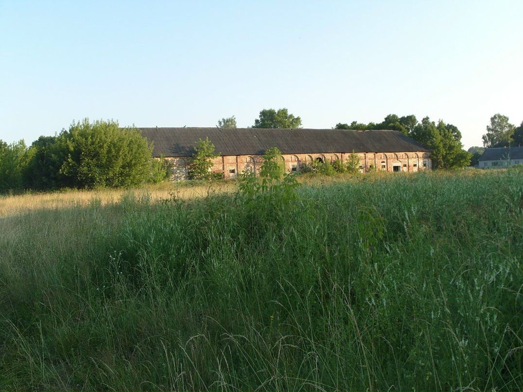 Дмитрий Пызин фотография #30