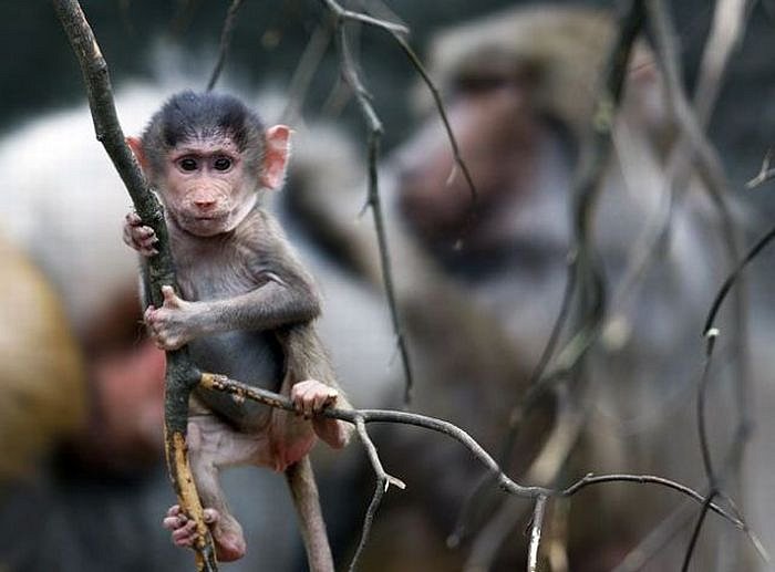 Аня Грищенко фотография #10