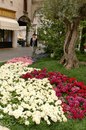 Марія Кізяк фотография #41 (источник - https://vk.com/id161123142)