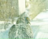 Фотография Смирновой Натальи