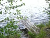 Фотография Парфеевец Марии