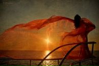 Фотография Федоровой Светланы