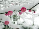 Фотография Гавы Линочки