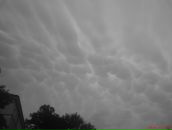 Віталій Бойко фотография #27 (источник - https://vk.com/id19512921)