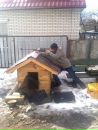 Ярик Снісар фотография #49 (источник - https://vk.com/id44819889)