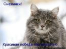 Андруся:)) Лозинська фотография #28 (источник - https://vk.com/id121655750)