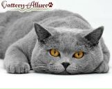 Фотография Мельникова Романа