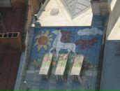 Фотография Шиленко Али