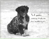 Фотография Васильевой Юлии