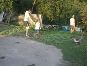 Оля Семижонова фотография #38 (источник - https://vk.com/id11200985)