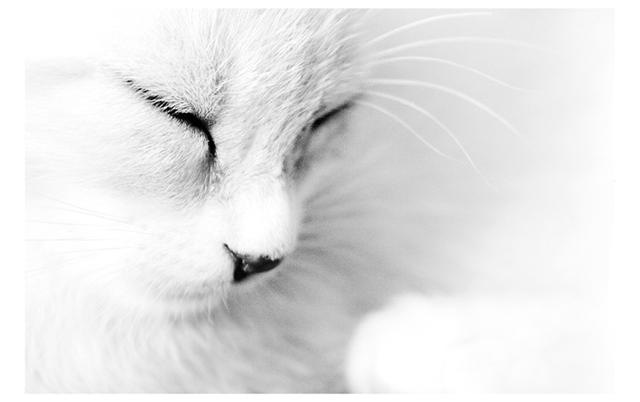 Дима Стащенко фотография #21