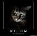 Іра Цівка фотография #49 (источник - https://vk.com/id120948154)
