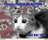 Фотография Клементьевой Светланы