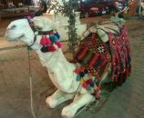 Фотография Калачевой Татьяны