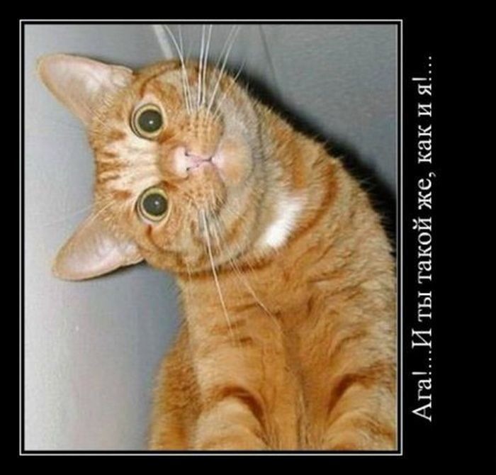 Евгений Полухин фотография #34