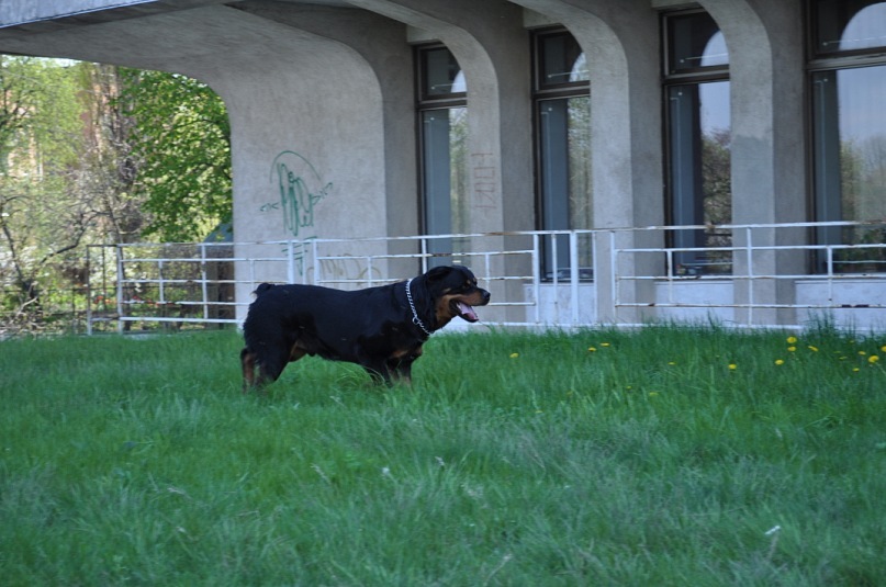 Роман Опальчук фотография #41