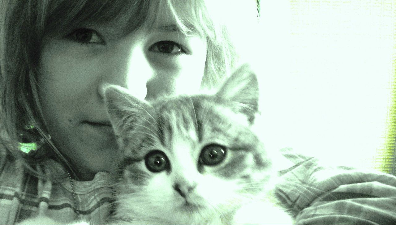 Mr Norbert фотография #13